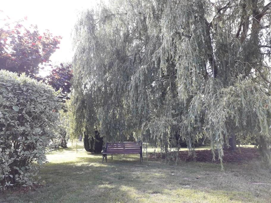 Clairfontaine Un Petit Coin De Paradis מראה חיצוני תמונה